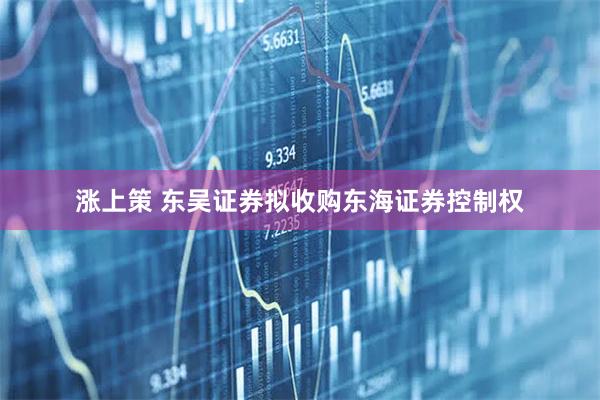 涨上策 东吴证券拟收购东海证券控制权