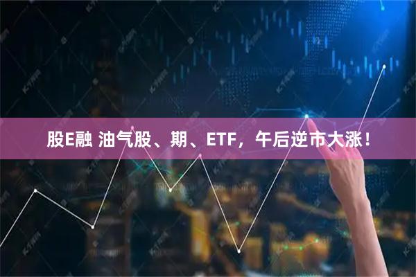 股E融 油气股、期、ETF，午后逆市大涨！