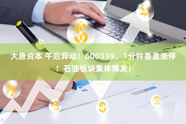 大唐资本 午后异动！600339，1分钟垂直涨停！石油板块集体爆发！