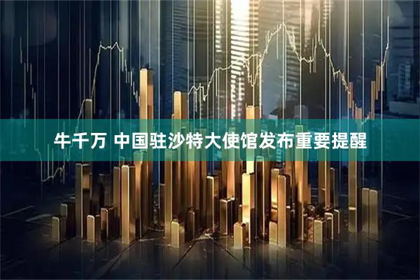 牛千万 中国驻沙特大使馆发布重要提醒