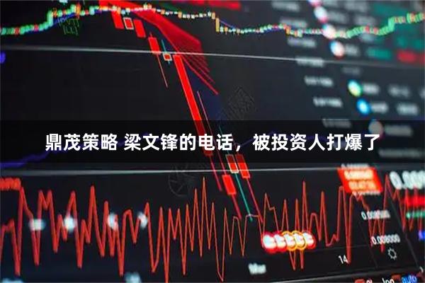 鼎茂策略 梁文锋的电话，被投资人打爆了