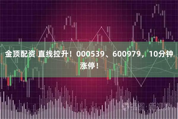 金顶配资 直线拉升！000539、600979，10分钟涨停！