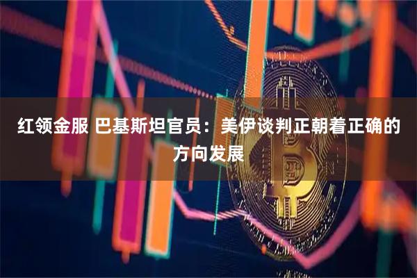 红领金服 巴基斯坦官员:美伊谈判正朝着正确的方向发展
