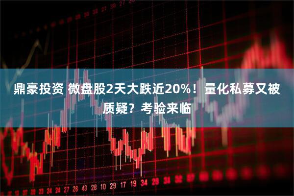 鼎豪投资 微盘股2天大跌近20%！量化私募又被质疑？考验来临