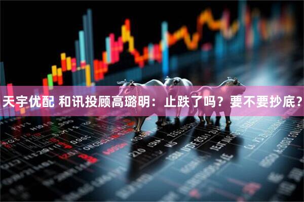 天宇优配 和讯投顾高璐明：止跌了吗？要不要抄底？