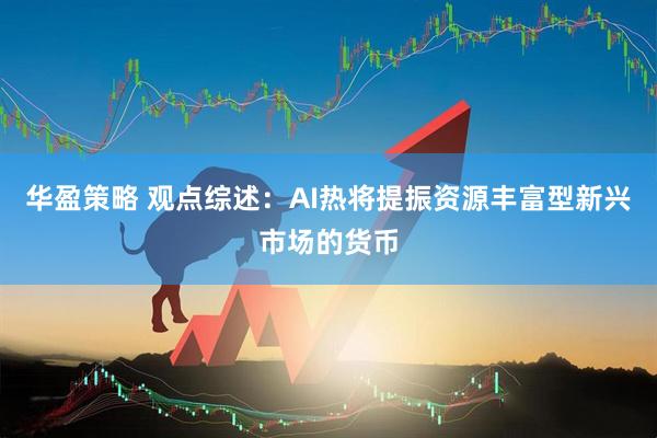 华盈策略 观点综述：AI热将提振资源丰富型新兴市场的货币