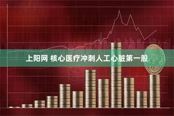 上阳网 核心医疗冲刺人工心脏第一股