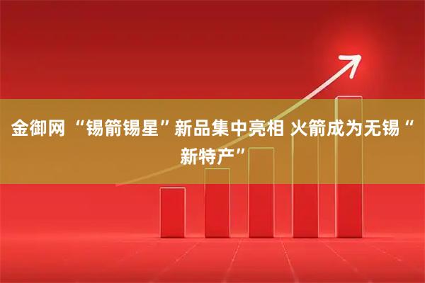 金御网 “锡箭锡星”新品集中亮相 火箭成为无锡“新特产”