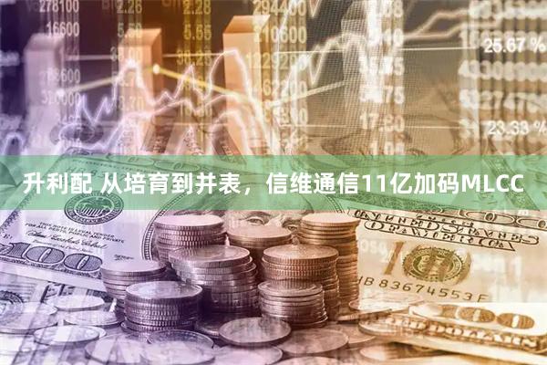 升利配 从培育到并表，信维通信11亿加码MLCC