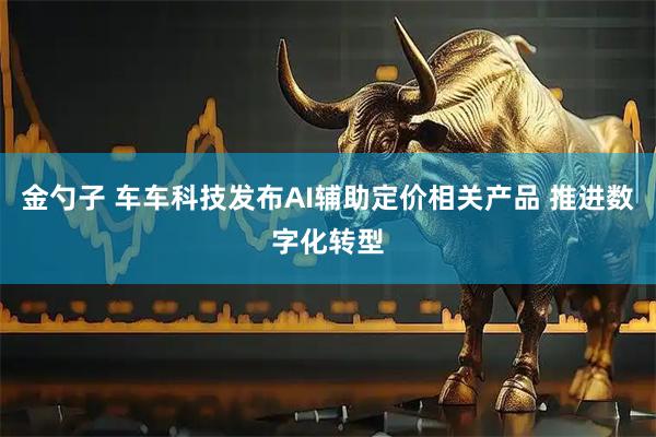 金勺子 车车科技发布AI辅助定价相关产品 推进数字化转型